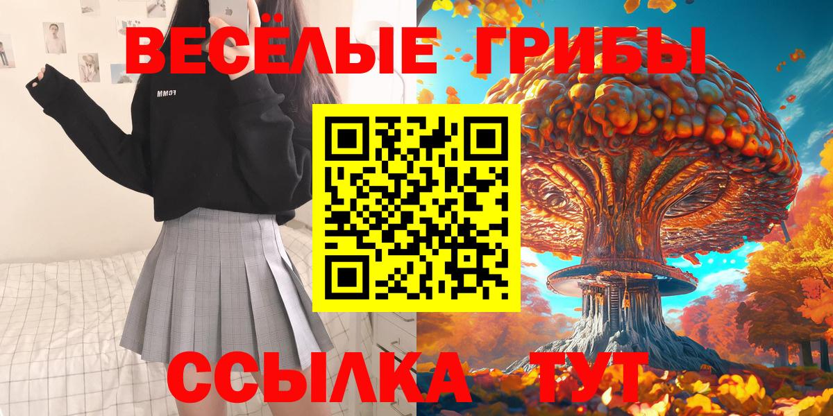 Псилоцибиновые грибы прущие грибы  Вход с VPN  Заводоуковск 