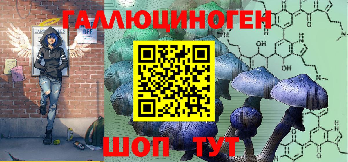 Псилоцибиновые грибы Cubensis Заводоуковск