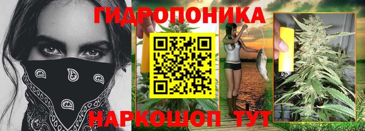 Каннабис OG Kush Заводоуковск